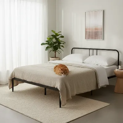 A sleek black metal bed frame in a minimalist bedroom with a cat sleeping nearby.